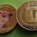 Dogecoin dispara 8% após Elon Musk se tornar o primeiro trilionário do mundo com IPO da SpaceX