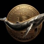 Baleias do Bitcoin acumulam 46 mil moedas, mas rede exibe sinais de fraqueza