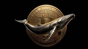 Baleia de Bitcoin movimenta fortuna de milhões após anos de inatividade; acumulação de baleias de bitcoin da CryptoQuant; baleias do Bitcoin; preço do bitcoin