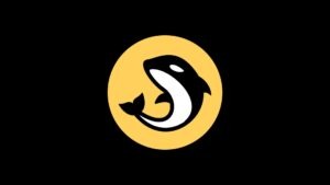 DEX Orca ativos reais na Solana mostrando a fusão entre finanças tradicionais e criptomoedas