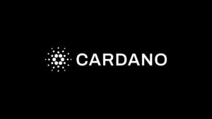 baleias da cardano acumulam tokens ada durante queda de preco no mercado de criptomoedas no brasil