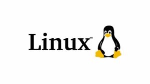vulnerabilidade no Linux afeta servidores de criptomoedas e exchanges