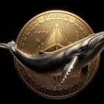 Baleia do Ethereum troca Bitcoin por aposta alavancada de US$ 22 milhões e puxa rali no mercado de derivativos Baleia do Ethereum troca Bitcoin por aposta alavancada de US$ 22 milhões e puxa rali no mercado de derivativos