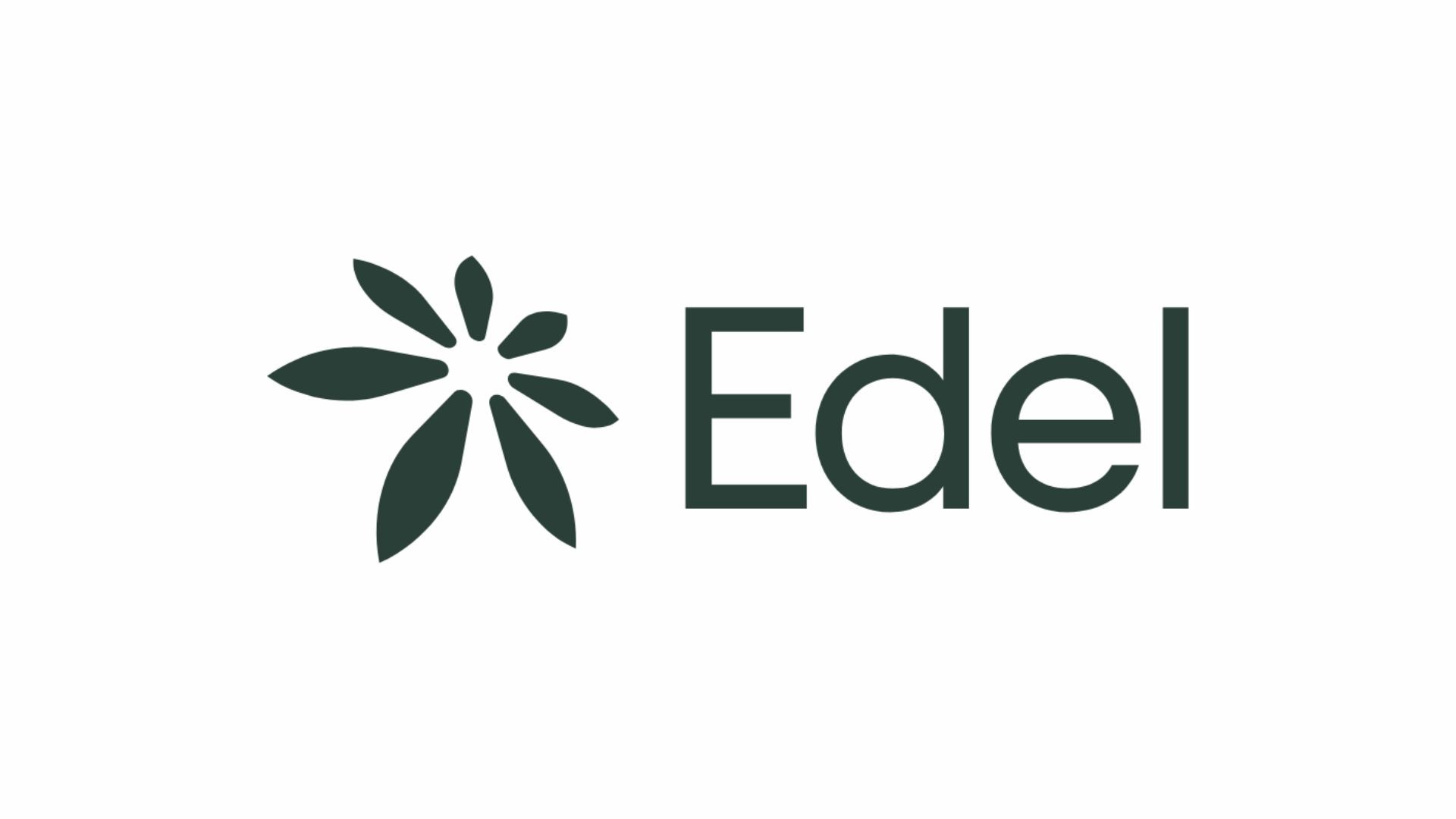 Protocolo DeFi Edel sofre exploit de US$ 403 mil envolvendo ações tokenizadas